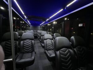 MINI-BUS-2-300x225 (1)